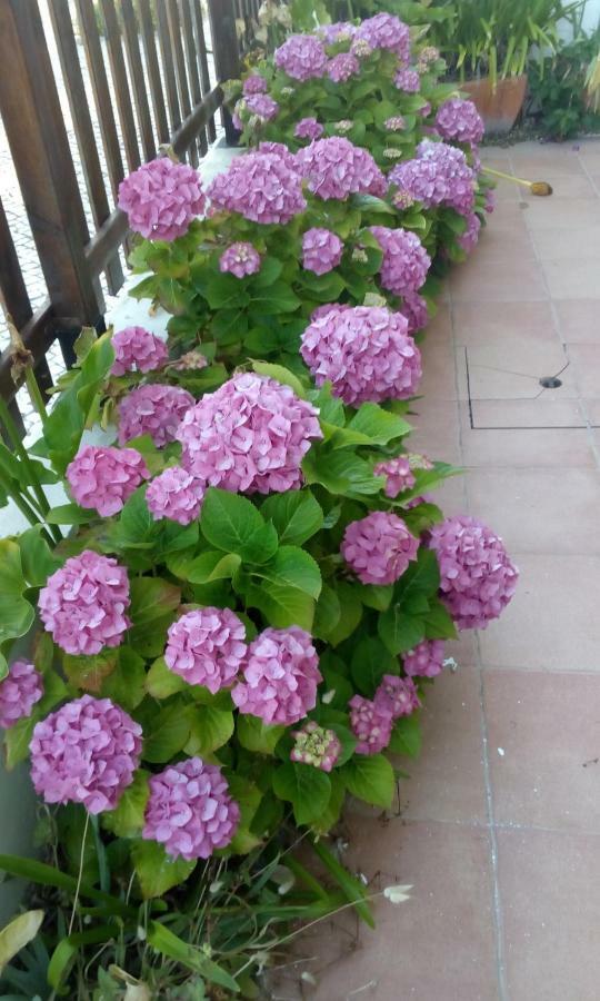 La Casa De Isa En Aveiro公寓 外观 照片